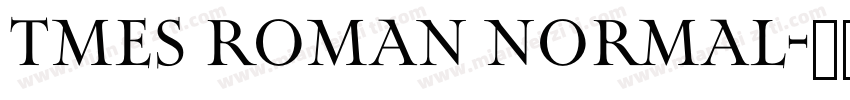 Tmes Roman Normal字体转换